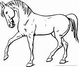 Pferde Malvorlagen Pferd sketch template