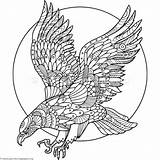 Mandala Eagle Hawk sketch template