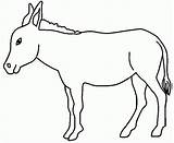 Ane Burros Donkey Equus Asinus Africanus Burro Jumento Desenhar Desenhosparapintareimprimir Mule Pasture Fazenda Eating Imprimé sketch template