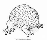 Cervello Colorare Mente Medio Brains Dpi Condividi Tb sketch template