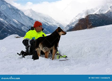 canine unit editorial stock photo image  serching