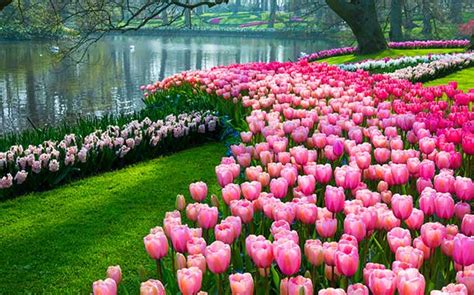 6 Of The World S Most Beautiful Gardens