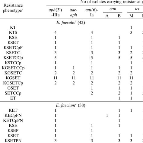 Pdf Antibiotic Resistance Genes And Virulence Factors In Enterococcus