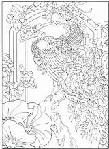 Peacock Coloring Pages Adults Adult Beautiful Getdrawings sketch template