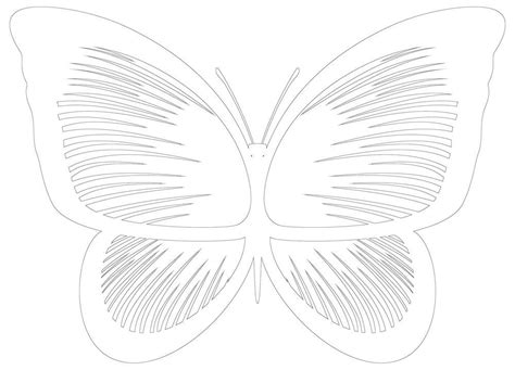 butterfly template printable large butterfly wings