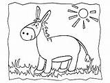 Coloring Donkeys School sketch template