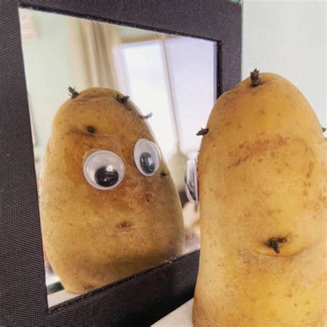googly eyes on different things 21 pics