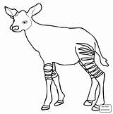 Okapi Kleurplaten Animal Supercoloring Dentistmitcham sketch template