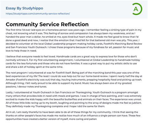 community service reflection essay  studyhippocom