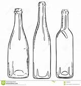 Bottiglie Contorno Vino Delle Insieme Disegnato Vettore Vuote Schizzo sketch template