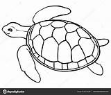 Turtle Contour Turtles sketch template