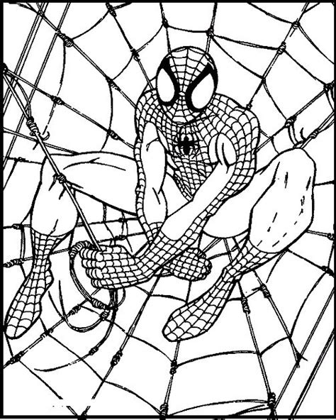 spiderman kids image coloring pages  kids fya printable spiderman