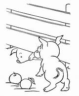 Coloring Farm Pages Animal Pigs Pig Animals Fence Kids Dig Honkingdonkey sketch template