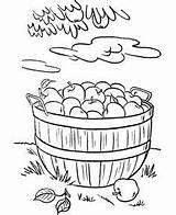 Coloring Pages Thanksgiving Apple Sheets Harvest Orchard Apples Dinner Fall Color Printable Activity Colouring Basket Rabbit Food Feast Foods Picking sketch template
