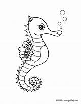 Seahorse Zeedieren Kleurplaten Cavalo Hipocampo Seepferdchen Ausmalen Marinho Hellokids Dieren Animaatjes Ausmalbild Marinos sketch template