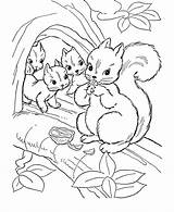 Coloring Squirrel Preschool Pages Colouring Children Popular sketch template