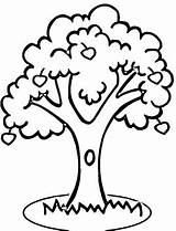 Coloring Pages Tree Trees Kids Tall Printable Tc sketch template