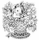 Coloring Rabbit Easter Basket Pages Flowers Adult Flower Color Chicks Cat Colouring Bunny Bunnies sketch template