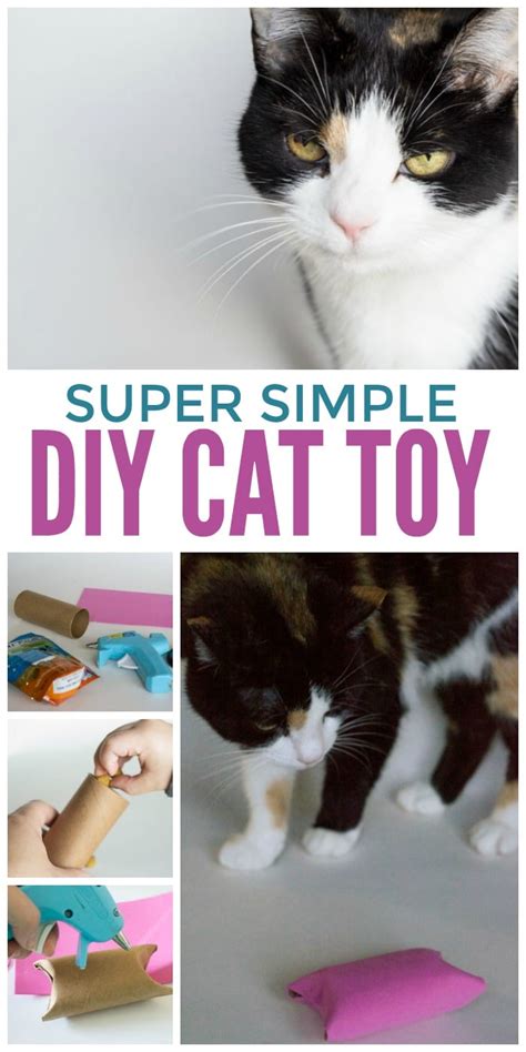 Diy Cat Toy Pampering Your Kitty Glue Sticks And Gumdrops