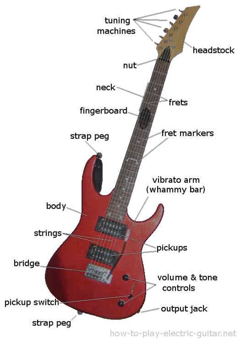 electric guitar parts  structure illustration