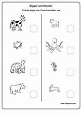 Worksheets Bigger Smaller Spatial Concepts Preschoolers Worksheeto Via sketch template