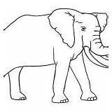 Coloring Pages Pencil Elephant Cool2bkids sketch template