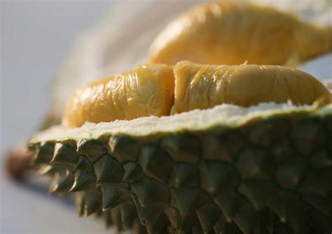 7 Surprising Benefits Of Eating Durian Lifestyle News Asiaone