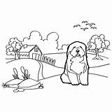 Coloring Landscape Dog Book Dogs Isolate Stock Vector Illustration sketch template