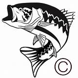 Largemouth Fish Dxf Stencils Clipartmag Walleye Vectorified sketch template