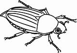 Bug Coloring June Cartoon Cockchafer Female Isolated Illustrations Background Stock Clip sketch template
