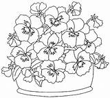 Coloring Pansy Flowers Pages Pansies Drawing Patterns Dessin Plante Painting Flower Printable Color Embroidery Imprimer Une Coloriage Adults Colouring Getcolorings sketch template