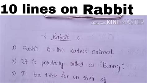 essay  rabbit youtube