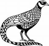 Pheasant Coloring Pages Supercoloring Mongolian Ringneck Male Pheasants Necked Ring Color sketch template
