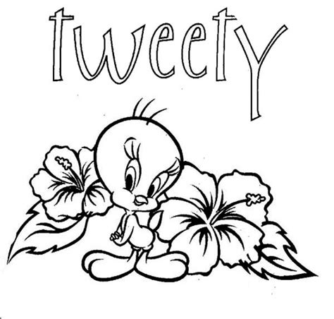 tweety bird pages  hearts coloring pages