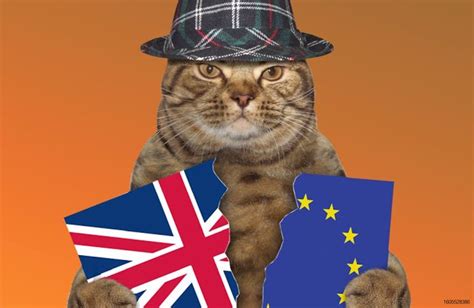 uk pet food exports  eu face brexit challenges petfoodindustrycom
