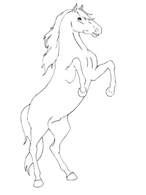 rearing horse coloring page supercoloringcom