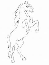 Horse Rearing Coloring Pages Printable Print Mustang Breyer Outline Friesian Color Supercoloring Getcolorings Colori Template sketch template
