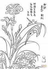 Hokusai Kingfisher Coloring Carnation Iris Katsushika Drawing Pages Getdrawings sketch template
