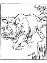 Neushoorn Indiaase Nashorn Kleurplaat Rhino Kleurplaten Indisches Rhinoceros Malvorlage Stemmen sketch template