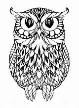 Coloring Pages Owl Cool Owls Popular sketch template