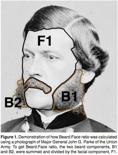 the greatest beards of the civil war in one chart the washington post