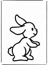 Konijn Kleurplaten Dieren Lapin Kaninchen Conejo Konijntje Hasen Coelho Coniglietto Ausmalen Konijnen Conejito Rabbit Coniglio Plaatjes Knaagdieren Mandalas Animaatjes Funnycoloring sketch template