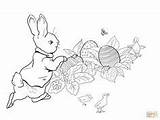 Rabbit Peter Coloring Hunt Egg Easter Adult Printable Click sketch template
