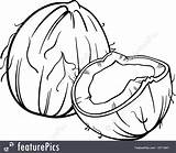 Coconut Clipart Coloring Vector Cartoon Fruit Book Clip Illustration Drawing Gourd Cocoanut Object Food Pages Stock Leafy Vegetables Green Getdrawings sketch template