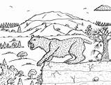 Smilodon Coloring Pages Color Saber Tooth Robin Great sketch template
