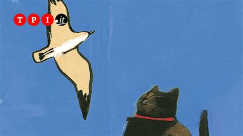 La Gabbianella E Il Gatto è La Lezione Di Vita Di Luis Sepulvera