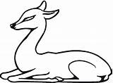 Deer Coloring Pages Baby Fawn Laying Down Easy Clipartmag Library Popular Comments sketch template