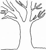 Tree Coloring Pages Leaves Without Bare Branch Branches Clipart Drawing Trunk Printable Line Leaf Template Trees Outline Government Print Colouring sketch template