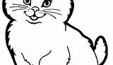 Ausmalbilder Malvorlage Katze Genial Malvorlagen sketch template