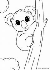 Koala Tiere Cool2bkids Mejillones sketch template